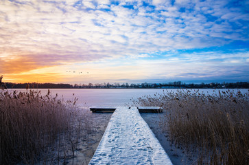 Flock of swans fly over frozen Lake Elckie. Masuria, Poland. - obrazy, fototapety, plakaty