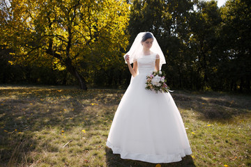 Beautiful bride in white dress brunette on background of golden autumn on the nature, happy bride in wedding image. Beautiful sun rays on beautiful delicate veil of his wife love husband