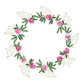 Delicate wreath with flowers of clover and greens. Original isolated on white watercolor painting.