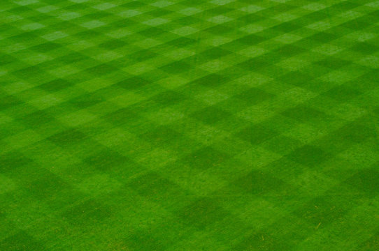 Baseball Grass