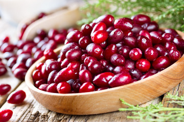 Ripe cornel (cornelian cherry, dogwood berry, dogberry-tree)