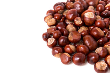 brown chestnuts nuts