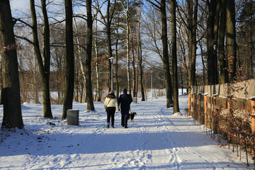 Para ludzi z psem spaceruje w parku zimą.