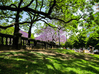 Fototapeta na wymiar Street scene in Buenos Aires in a park