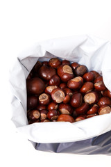 chestnuts in a bag