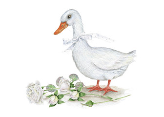 Watercolor. Goose. Roses. Vintage