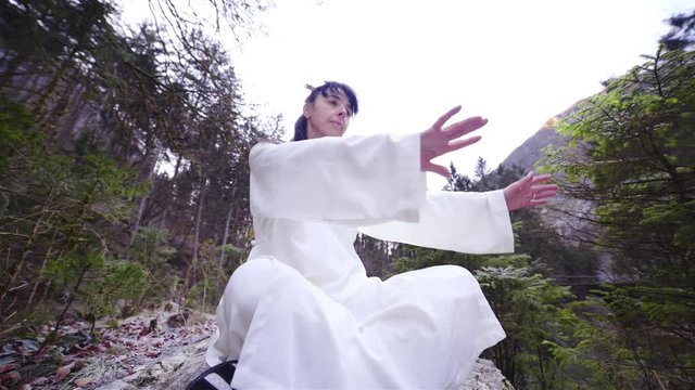 Traditional WuDang Kung Fu forms with hands while sitting 4K
