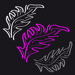 Feathers on black background