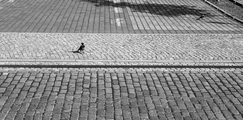 Mediaspree Berlin Oberbaumbr&uuml;cke