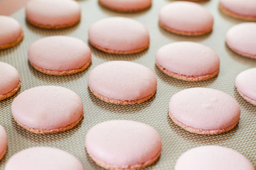 Freshly baked rose macarons on the baking tray