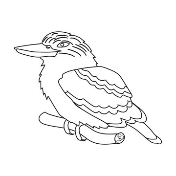 recommend clip art: Kookaburra sitting on branch icon in outline style isolated on white background. Australia symbol stock vector illustration.
