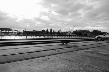 Mediaspree Berlin Oberbaumbr&uuml;cke