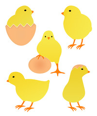 Küken Icons Farbe - Ostern, Ostereier