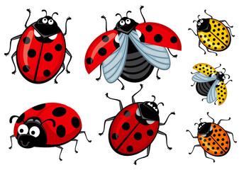 Set of cartoon red and ladybirds on a white background, Corel
