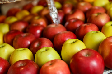Red and green apples in natural light