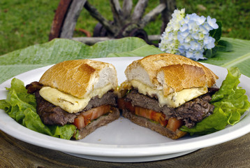 Meat sandwich with tomato and cheese