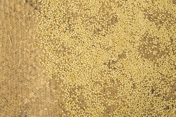 Cafetales en México