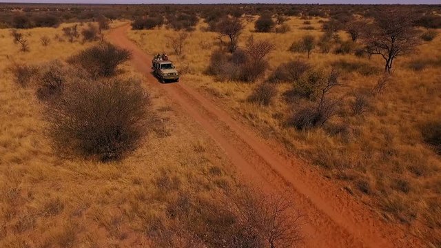 hunters traveling by jeep across the savannah in search of prey