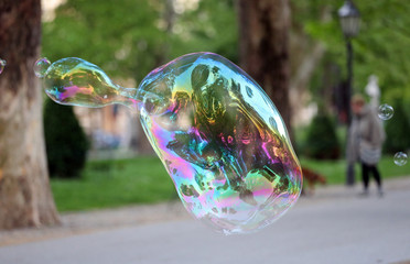 Soap Bubble