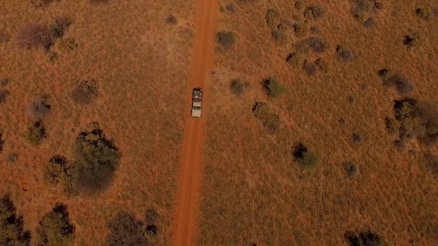 hunters, traveling by jeep across the savannah in search of prey top view