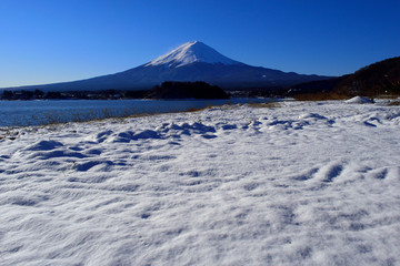 河口湖大石公園から雪景色の青空富士山