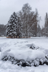 Winter Landscape with snow covered trees in South Park in city of Sofia, Bulgaria