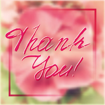 Grateful card with hand written lettering Thank You on natural pink floral phlox blurry background. Vector illustration