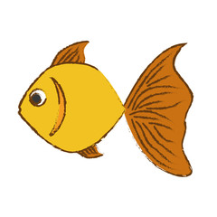 colorful fish icon image vector illustration design 