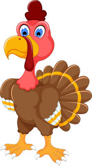 cute turkey cartoon posing