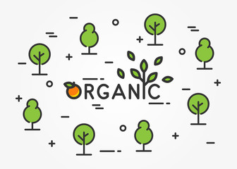 Organic linear vector illustration on light grey background. Organic with trees and house plants (leaf, leaves, tree, orange, fruit, green) creative graphic concept.
