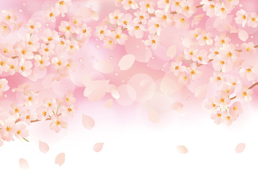桜 チェック カラフル ぼかし 線なし
