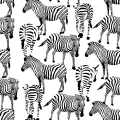 Modèle sans couture de zèbre. Ornement animal de savane. Texture d& 39 animaux sauvages. Rayé noir et blanc. conception de texture de tissu à la mode, illustration.