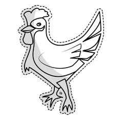 hen or chicken animal icon image vector illustration design 