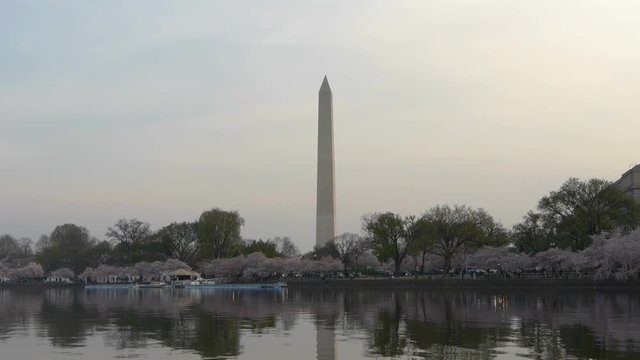 Panoramic view of Washington Monument in Washington DC from across Tidal Basin of Potomac River in cherry blossom spring time