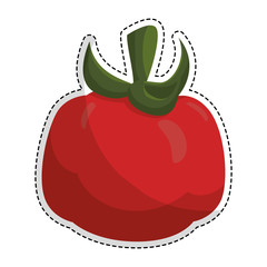 tomato vegetable icon image vector illustration design 