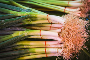 Fresh spring onion in the fresh market.