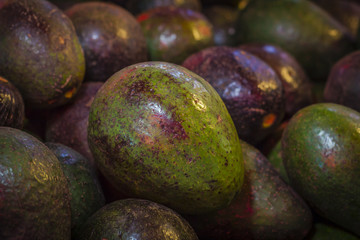 Fresh avocado in the market, Temperate fruits.