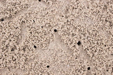 Sand Texture background. Small crabs traces on the beach sand.
