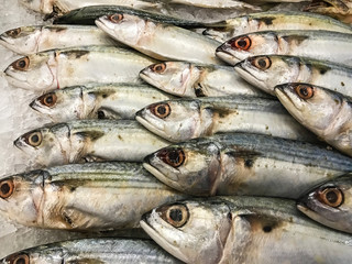 Fresh fish on ice at the market