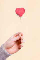Person holding heart on stick.