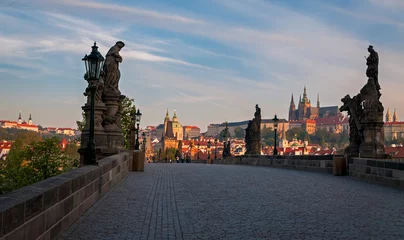 Peel and stick wall murals Charles Bridge Early morning at Charle's bridge in Praque.