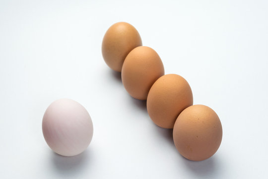 Egg line on white background