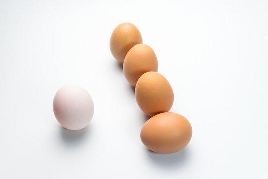 Egg line on white background