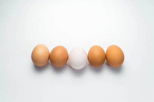 Egg line on white background