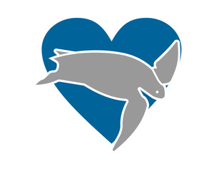 turtle heart silhouette icon