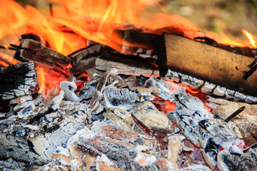 Flame of Fire from Firewood bonfire