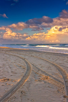 Tracks On The Beach