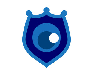 blue shield icon