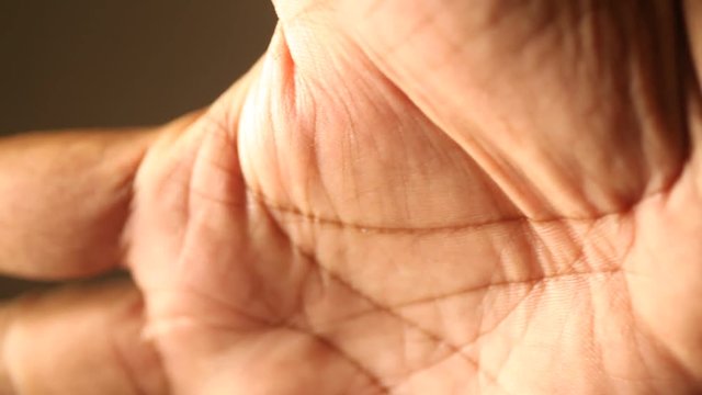 palmistry reading fortune