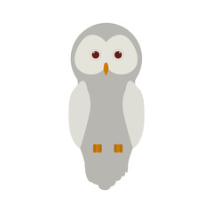 Owl cartoon icon. Bird animal and nature theme. Isolated design. Vector illustration
